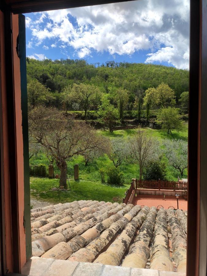 B&B I Martelli Trevi Bagian luar foto