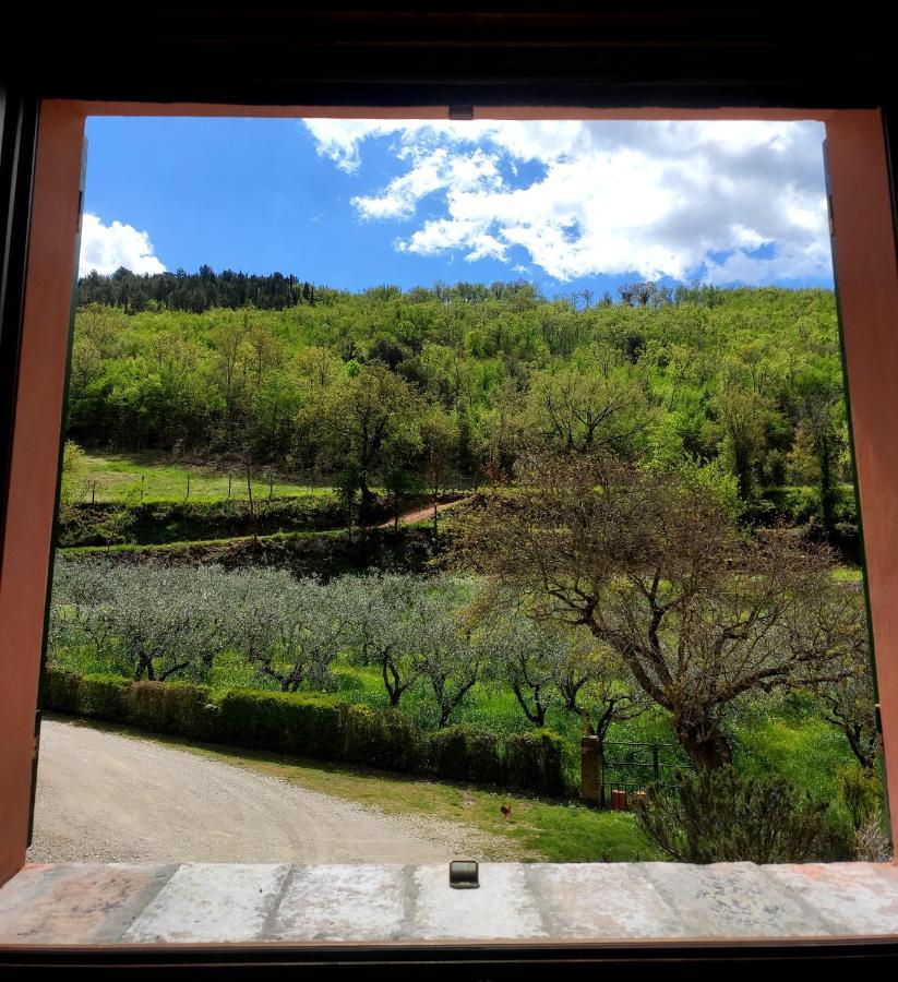 B&B I Martelli Trevi Bagian luar foto