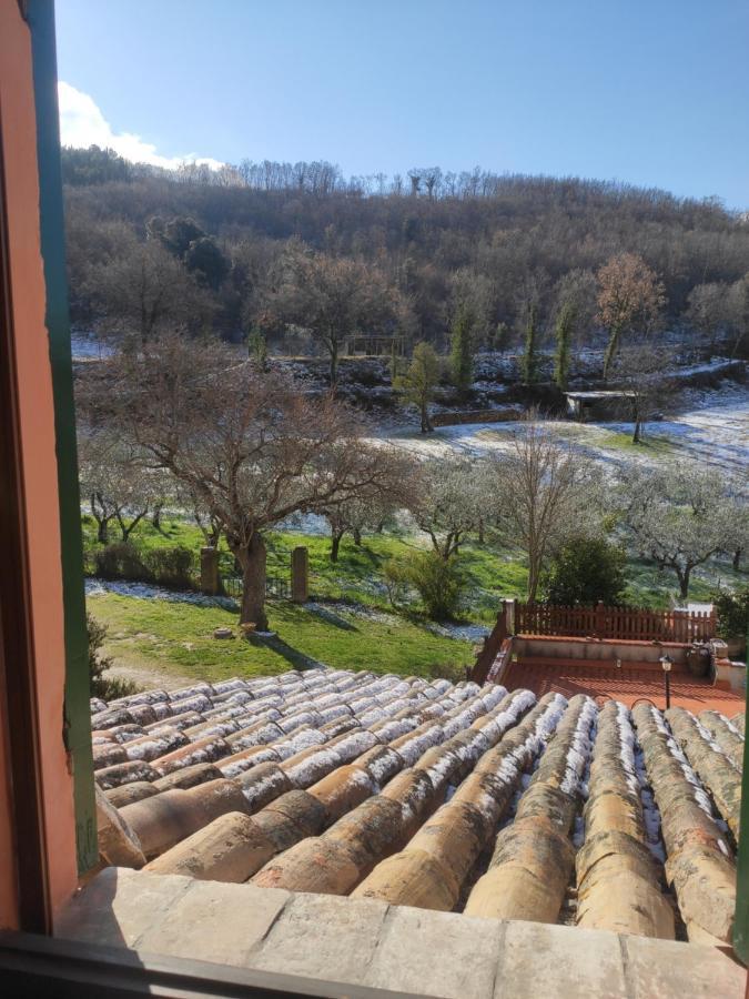 B&B I Martelli Trevi Bagian luar foto